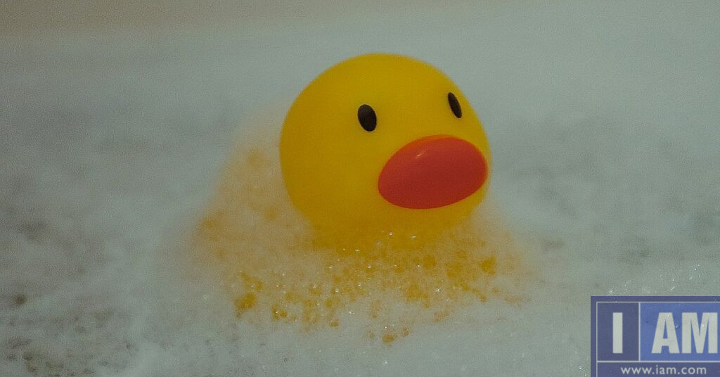 Rubber ducky bath