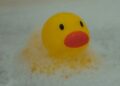 Rubber ducky bath