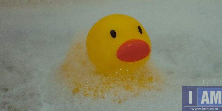 Rubber ducky bath