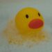 Rubber ducky bath