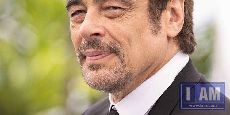 Benicio del Toro at the Cannes Film Festival (2025)